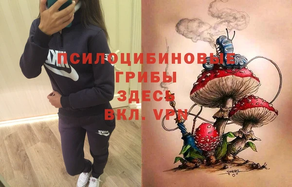 героин Алексин