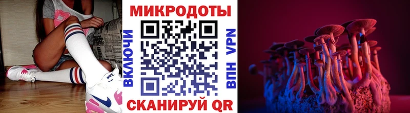 Псилоцибиновые грибы MAGIC MUSHROOMS darknet как зайти Межгорье